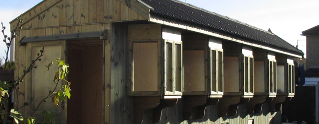 Clydesdale racing pigeon loft