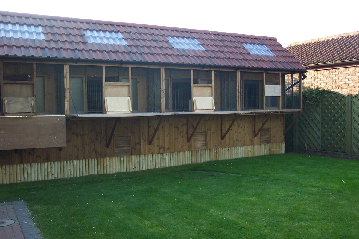 Pigeon loft with a folding landing board